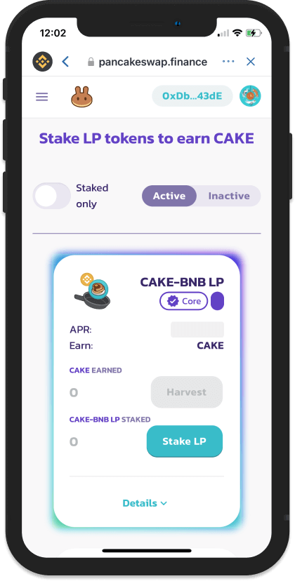 Tiến hành stake token vào pool CAKE-BNB LP